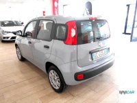 Auto Fiat Panda 1.2 EasyPower Easy usata in vendita presso concessionaria Autopiù Due Milano a 11.500 € - foto numero 4