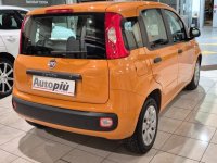 Auto Fiat Panda 1.2 Easy usata in vendita presso concessionaria Autopiù Due Milano a 8.900 € - foto numero 4