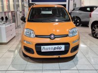 Auto Fiat Panda 1.2 Easy usata in vendita presso concessionaria Autopiù Due Milano a 8.900 € - foto numero 5