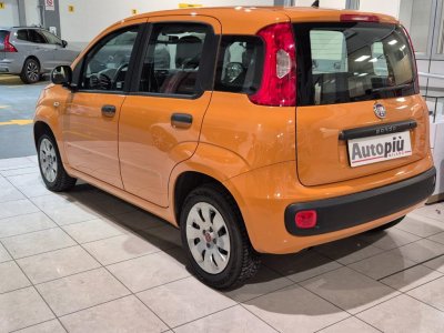 Auto Fiat Panda 1.2 Easy usata in vendita presso concessionaria Autopiù Due Milano a 8.900 € - foto numero 2